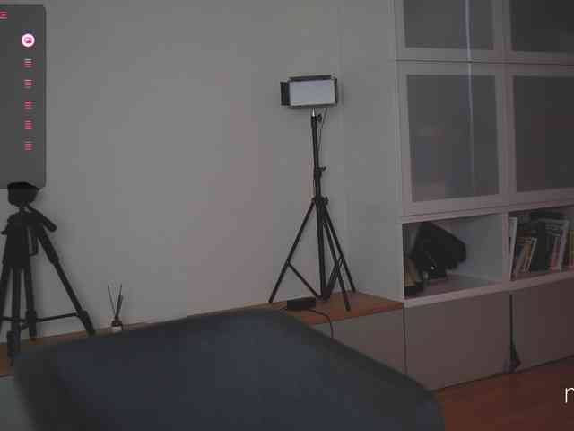 mel-collins webcam