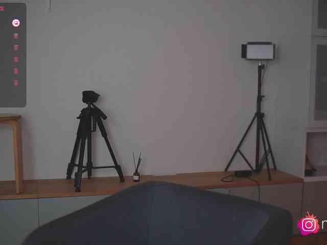 mel-collins webcam