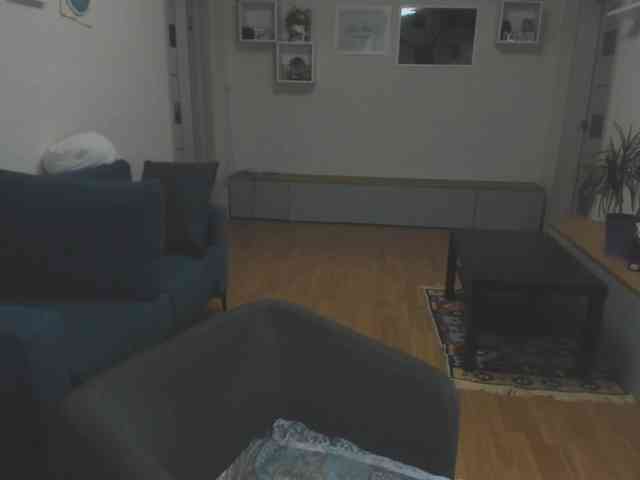 mel-collins webcam