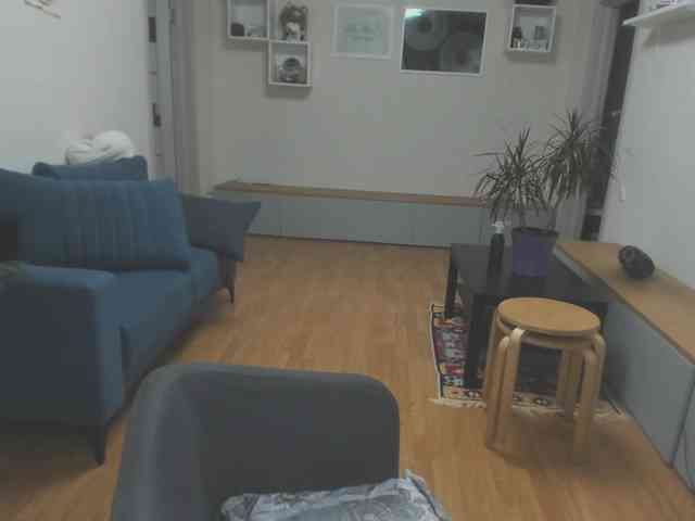 mel-collins webcam