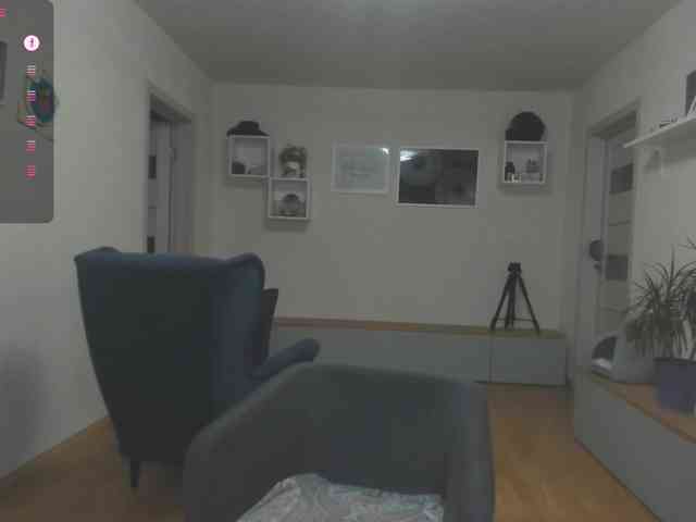 mel-collins webcam