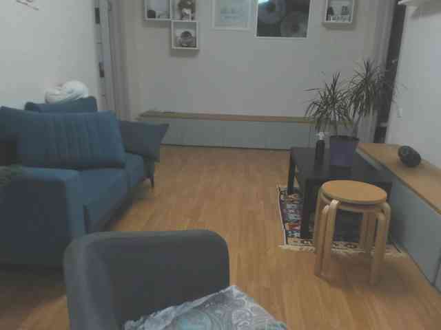 mel-collins webcam