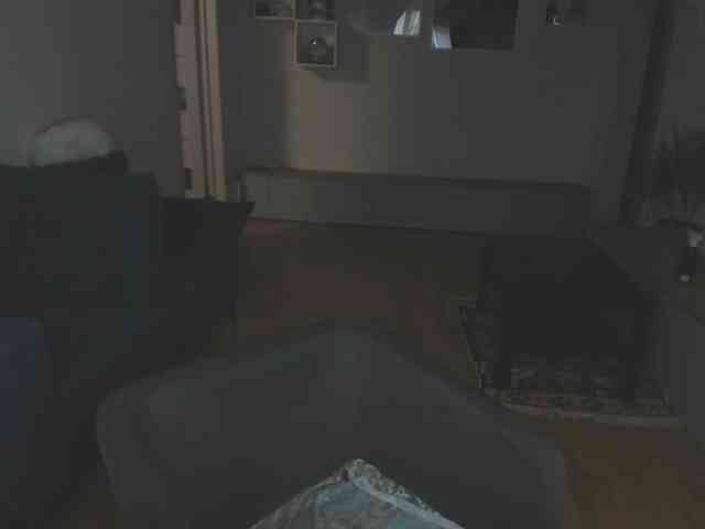 mel-collins webcam