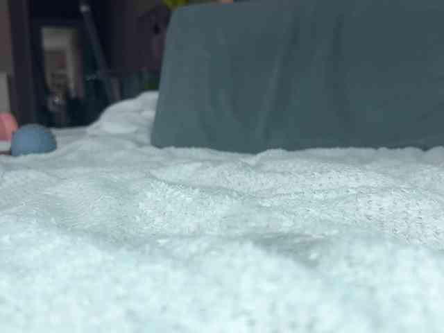 goddessstanya webcam