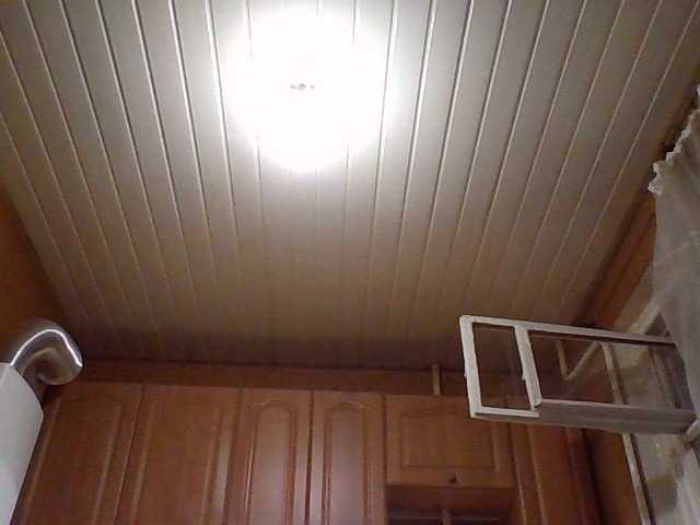 Yashaya19 live cam