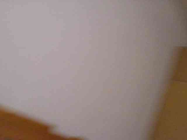 Yashaya19