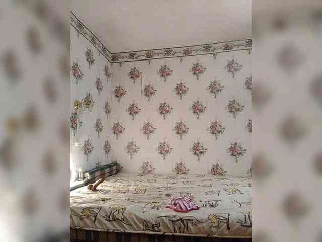 Alisa-33 webcam