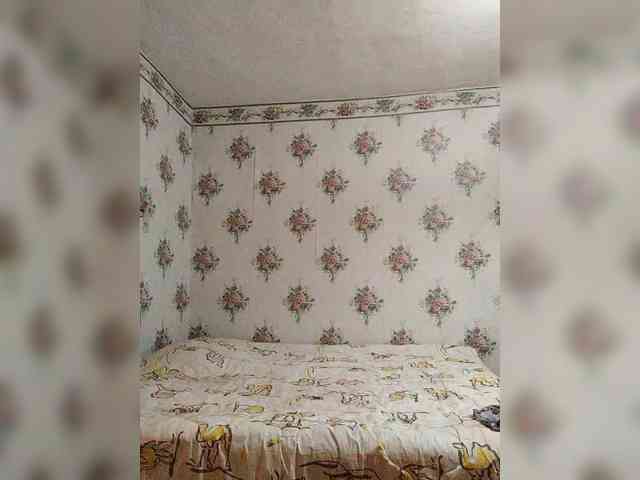 Alisa-33 webcam