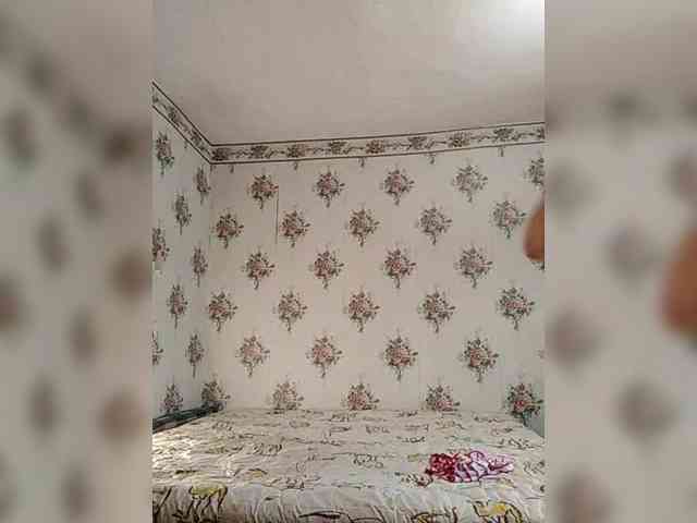 Alisa-33 webcam