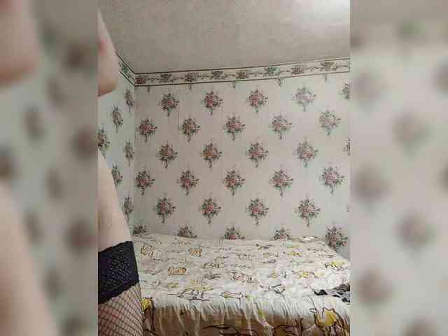 Alisa-33 webcam