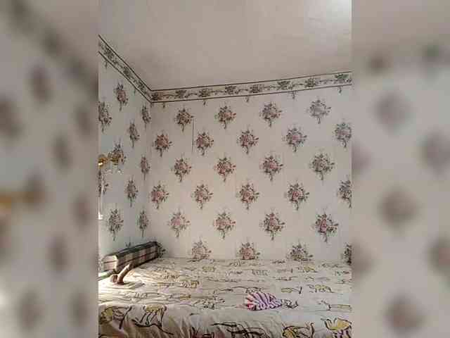 Alisa-33 webcam
