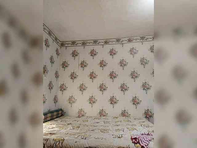 Alisa-33 webcam