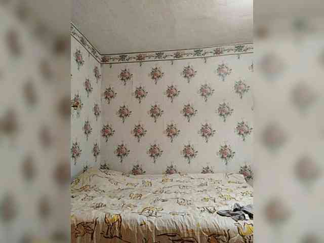 Alisa-33 webcam