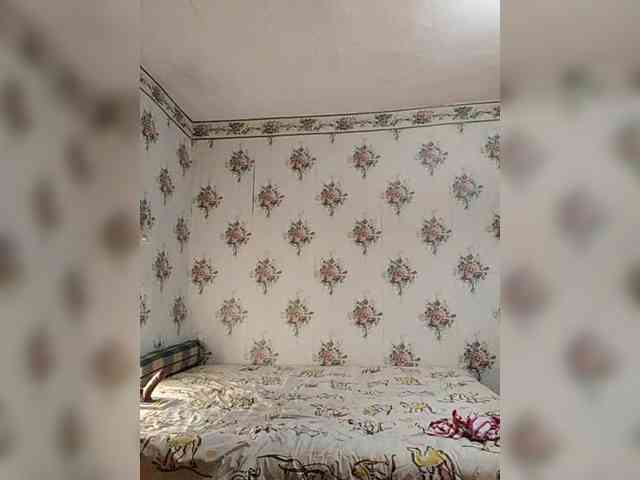 Alisa-33 webcam