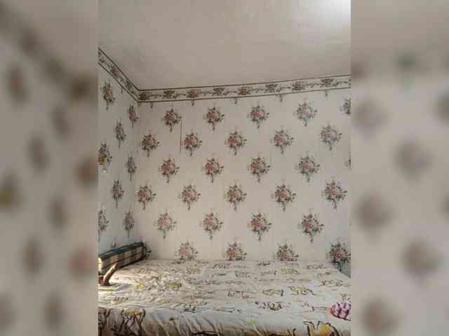 Alisa-33 webcam