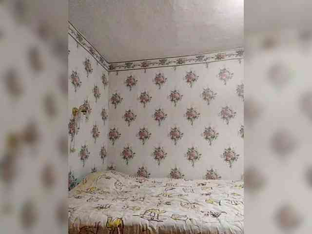 Alisa-33 webcam