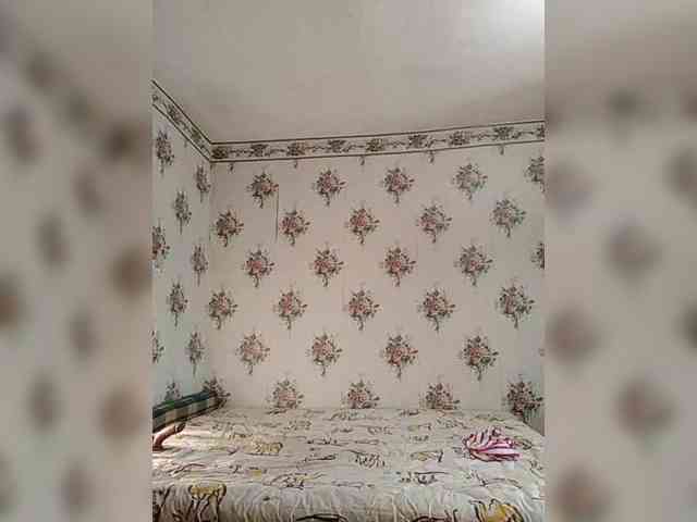 Alisa-33 webcam