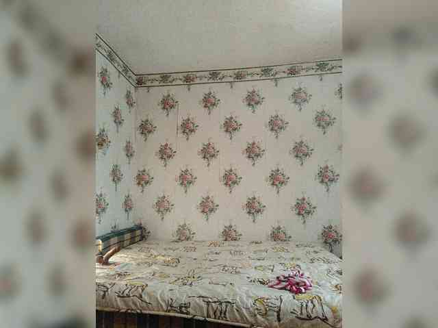 Alisa-33 webcam