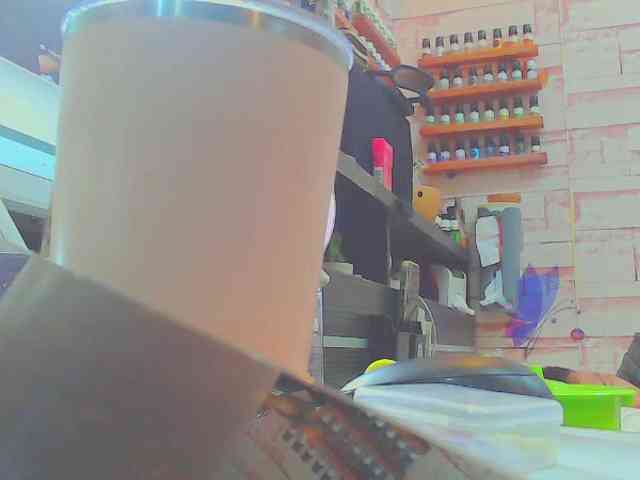 keepmepregO webcam