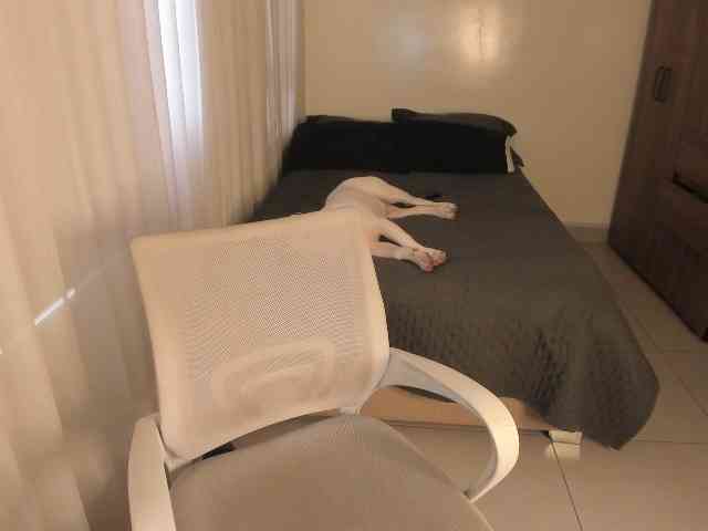 kiaraowen1