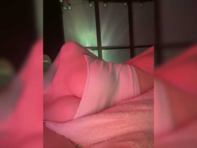 Koshka Kivi live cam