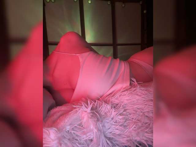 Koshka Kivi live cam