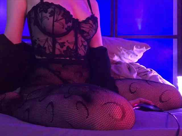 Koshka_Kivi webcam