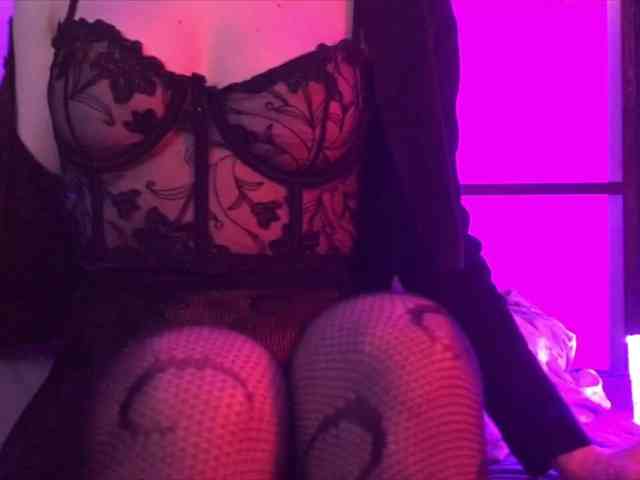 Koshka_Kivi webcam