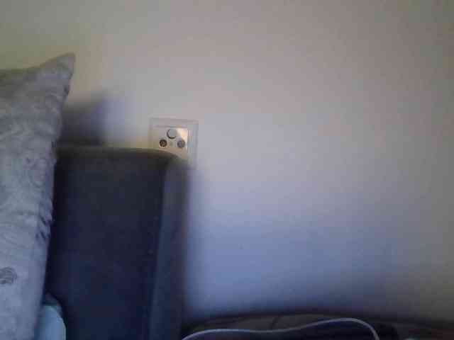 isadelirious webcam