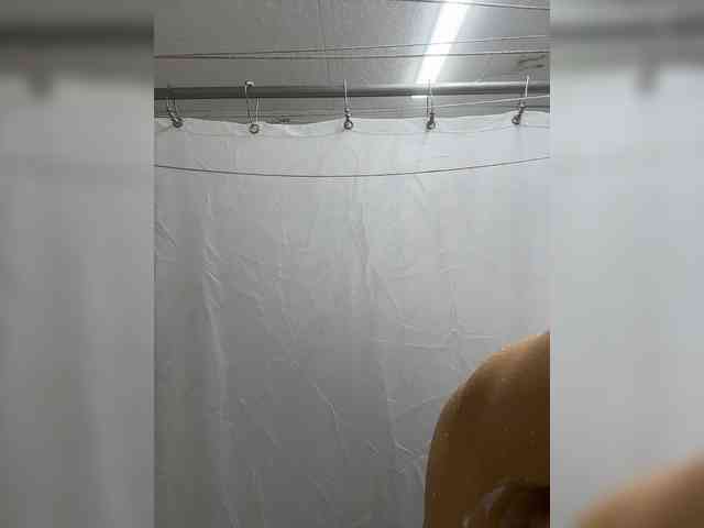 Artistkari webcam