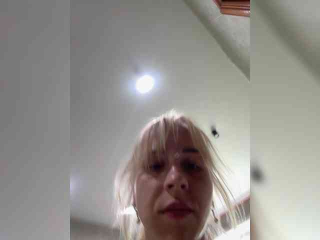 Artistkari webcam