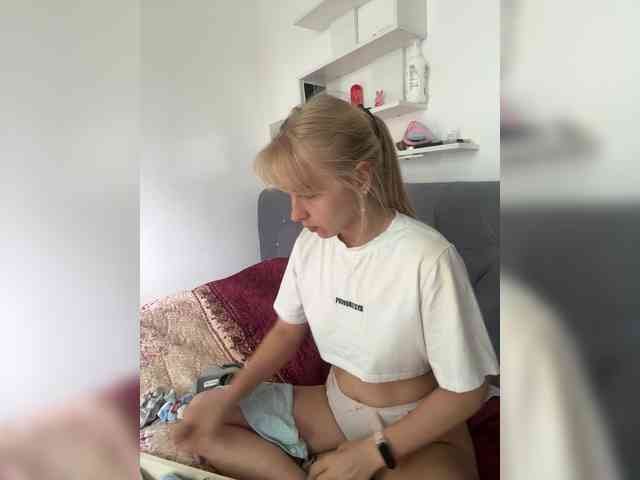 Artistkari webcam