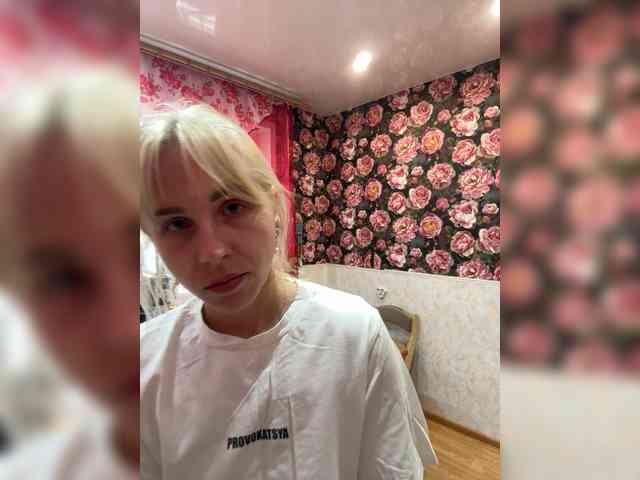 Artistkari webcam