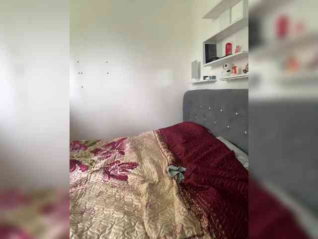 Artistkari webcam