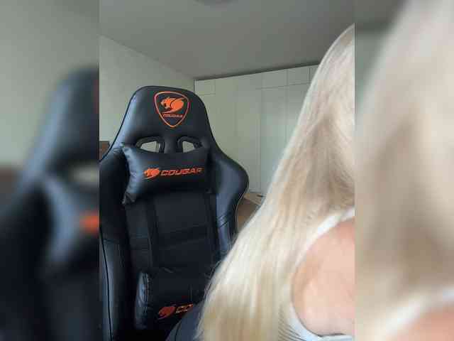 Artistkari webcam