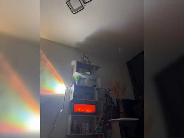 beautifulCat3