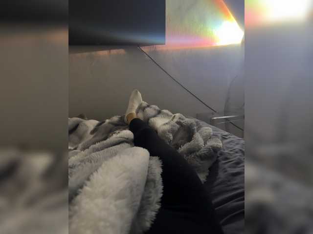 beautifulCat3