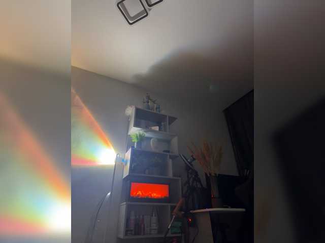 beautifulCat3