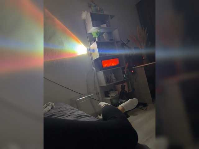 beautifulCat3
