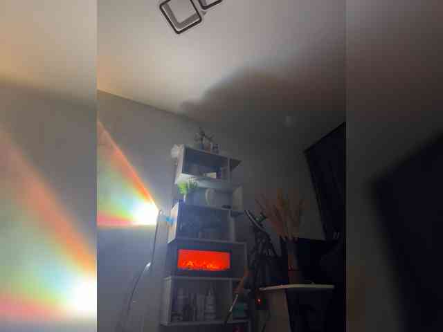 Ariel-la webcam