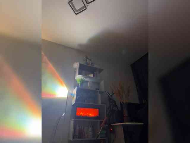 Ariel-la webcam