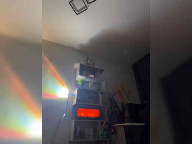 Ariel-la webcam