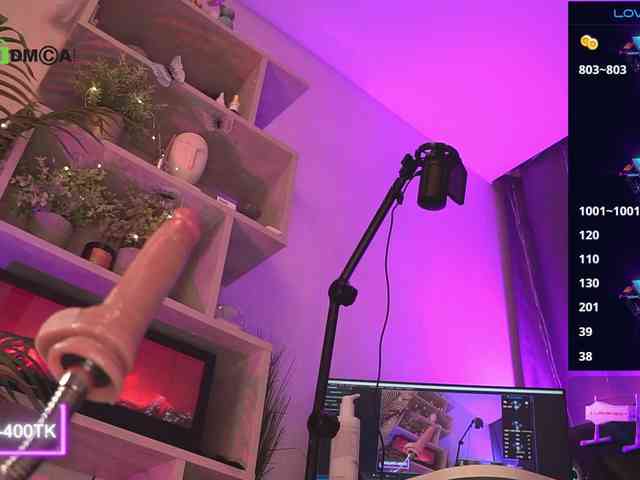 Ariel-la webcam