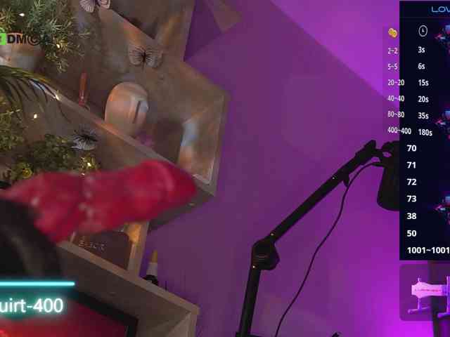Ariel-la webcam