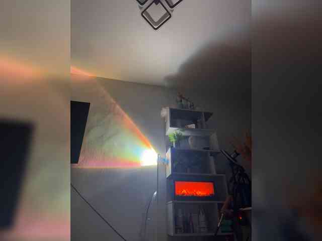 Ariel-la webcam