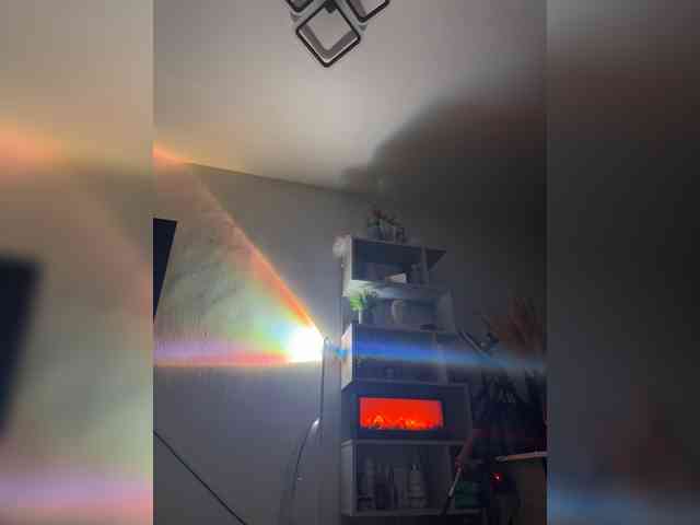 Ariel-la webcam