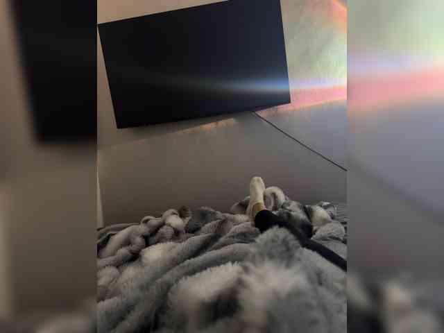 Ariel-la webcam