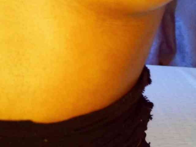 junea webcam