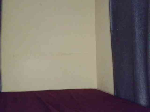 junea webcam
