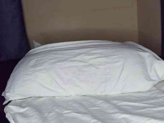 junea webcam